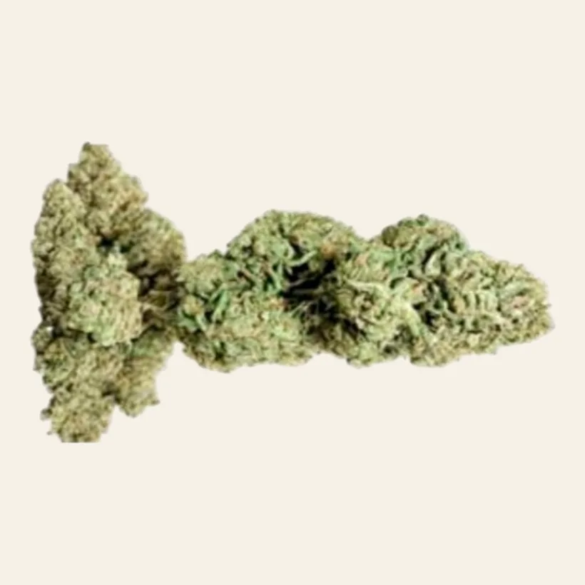 Girl Scout Cookies CBD, cogollos alargados de verde intenso