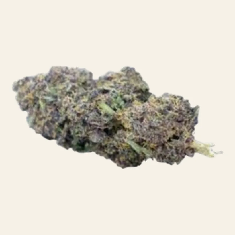 Rainbow Sherbet CBD, genética americana, tonos púrpuras